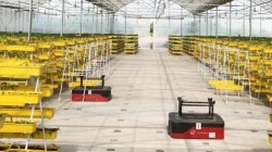 大棚培植蔬菜頂升式AGV自動化搬運(yùn)項目